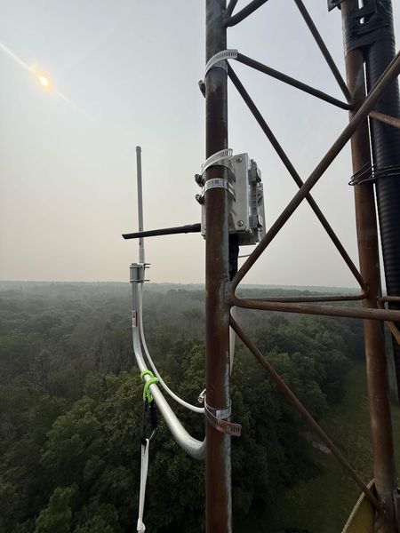 A mesh node mounted on a tower leg, treetops far below